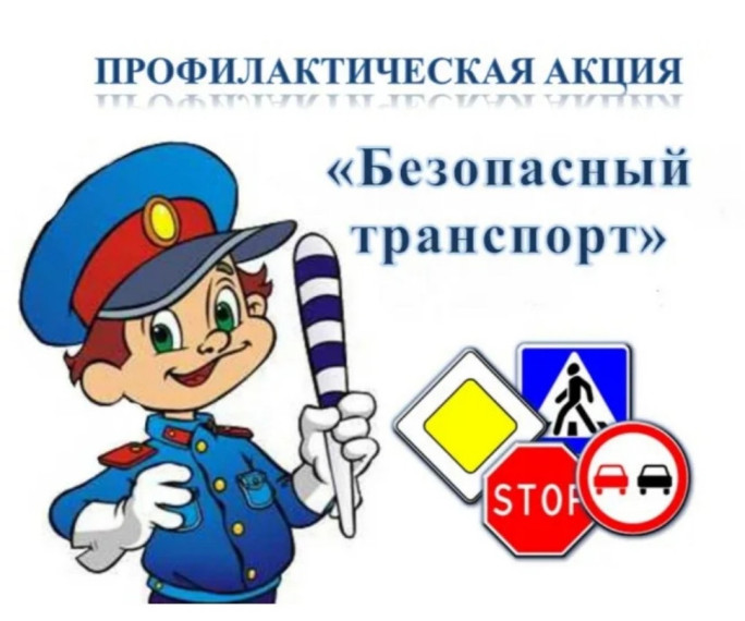 Профилактическое мероприятие «Безопасный транспорт».